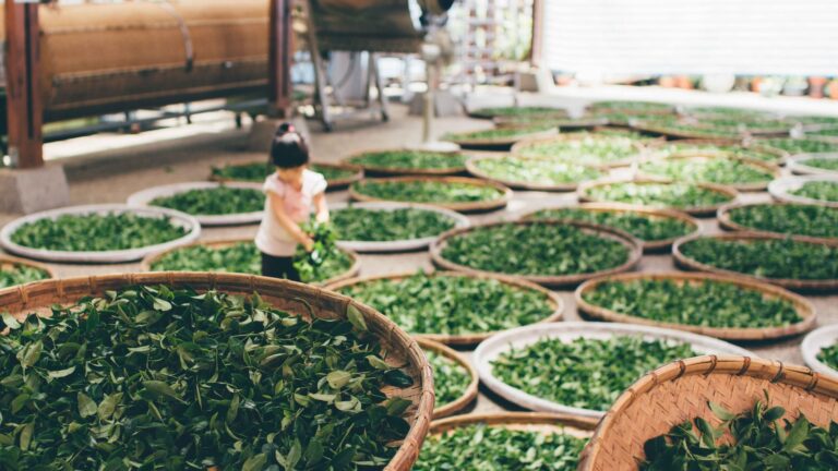 girl standing near green leaves